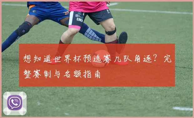 想知道世界杯预选赛几队角逐？完整赛制与名额指南