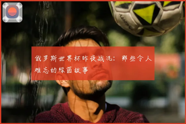 俄罗斯世界杯昨夜战况：那些令人难忘的绿茵故事