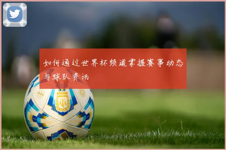 如何通过世界杯频道掌握赛事动态与球队资讯
