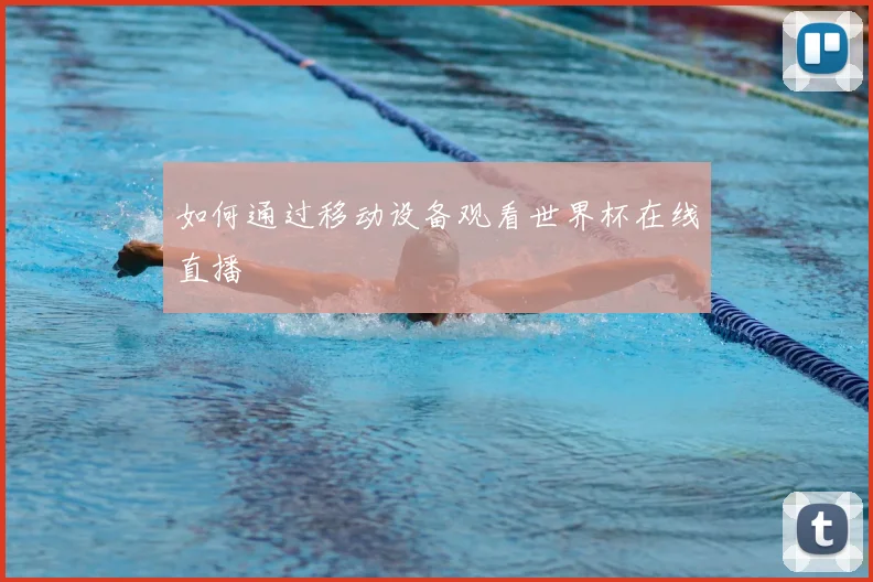 如何通过移动设备观看世界杯在线直播