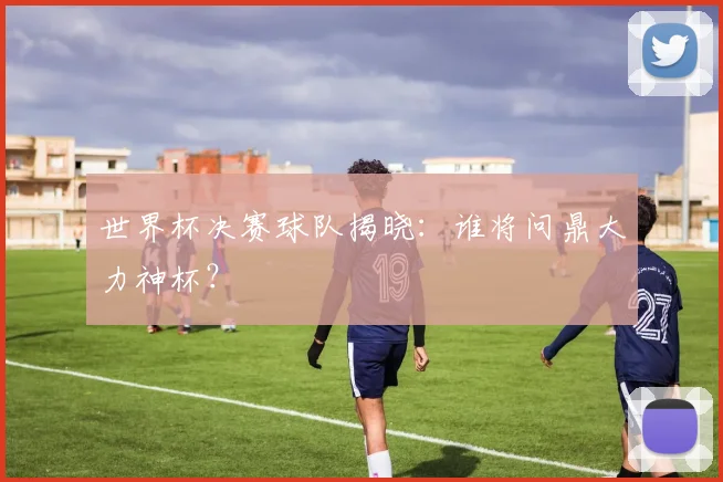 世界杯决赛球队揭晓：谁将问鼎大力神杯？